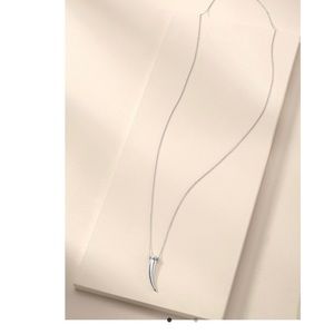 Stella & Dot delicate horn necklace